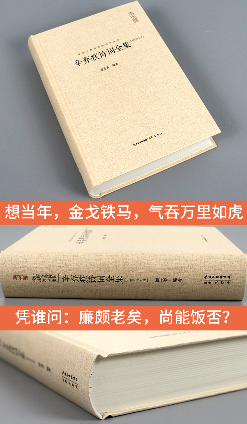正版 辛弃疾诗词全集 全书收录620余首词130余首诗 古诗词大全集 名家精注精评 中国古诗词鉴赏大会 唐诗宋词鉴赏豪放词辛弃疾词集