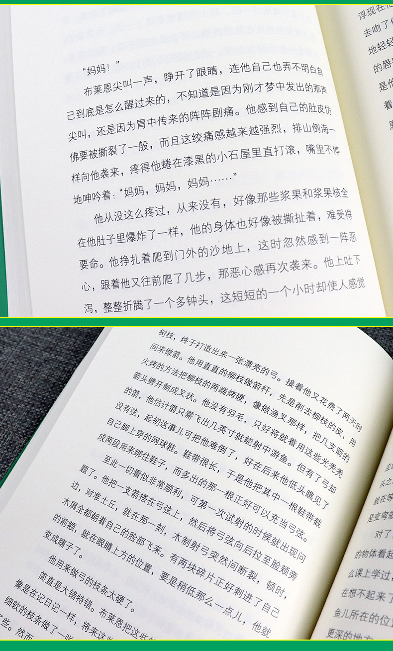 正版包邮 手斧男孩1首部曲 盖瑞 伯森小学生二三四年级课外阅读故事书 6-12周岁儿童文学漫画卡通冒险故事学生课外读物睡前故事书