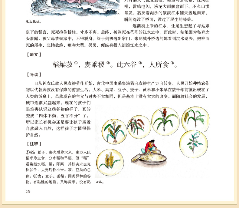 正版包邮现货 三字经百家姓千字文（彩色图解版） 中华国学儿童启蒙读物 培养孩子正确的世界观人生观价值观 少年学生版书籍