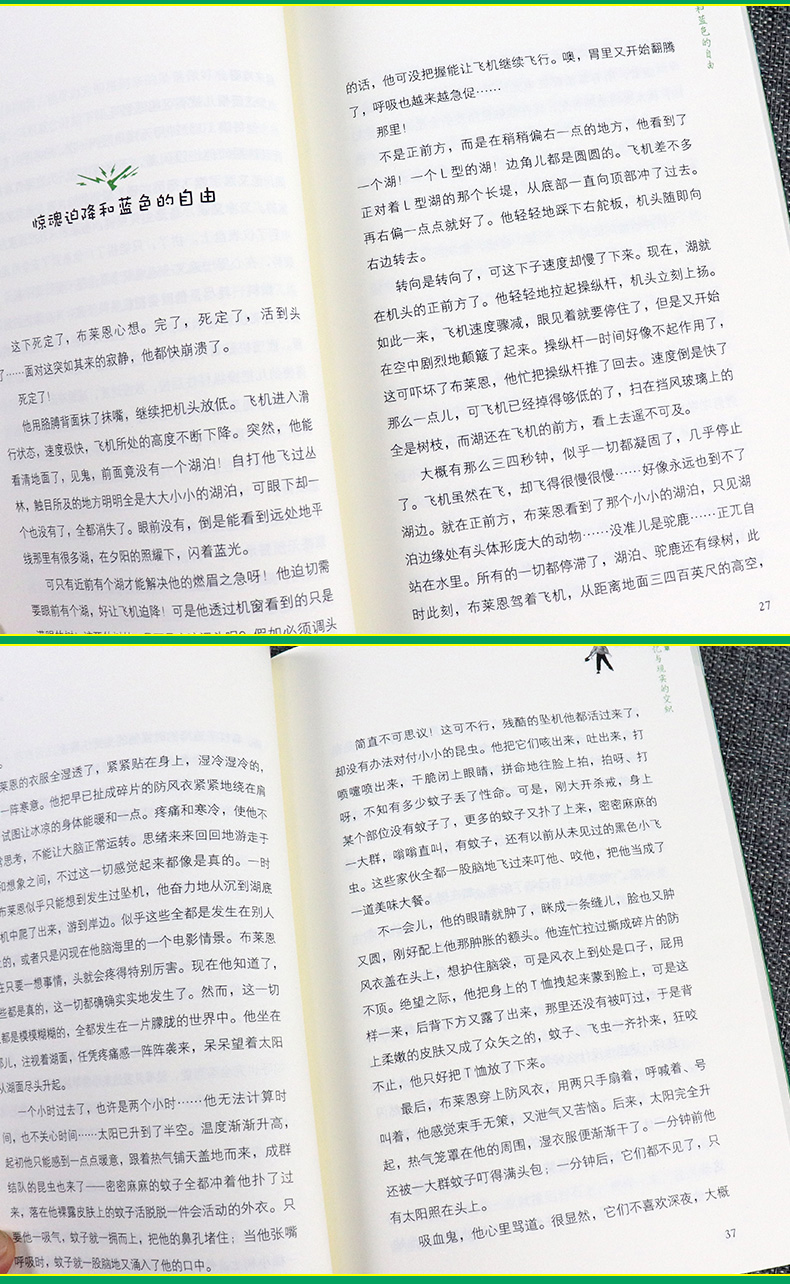 正版包邮 手斧男孩1首部曲 盖瑞 伯森小学生二三四年级课外阅读故事书 6-12周岁儿童文学漫画卡通冒险故事学生课外读物睡前故事书