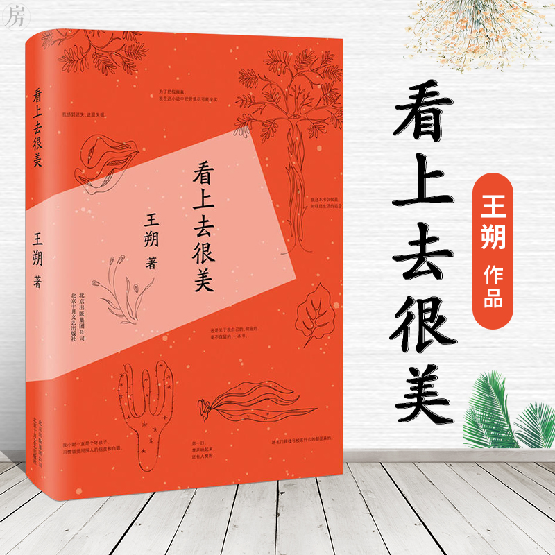 正版包邮看上去很美王朔作品致女儿书我是你爸爸一半是火焰一半是海水