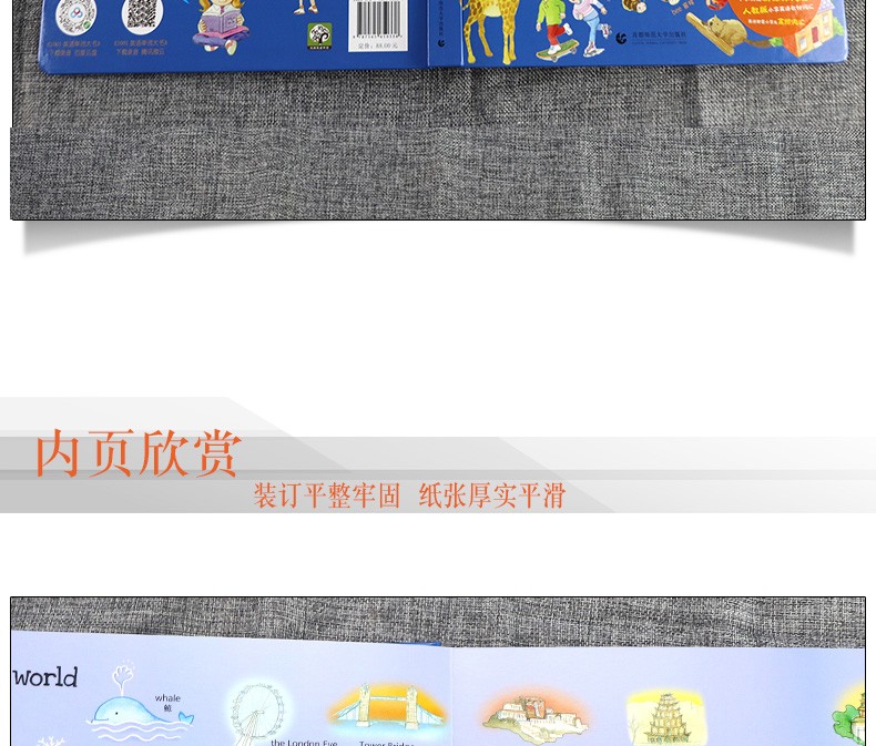 【附赠音频】：1001英语单词大书 DSNC研究小组 双螺旋童书