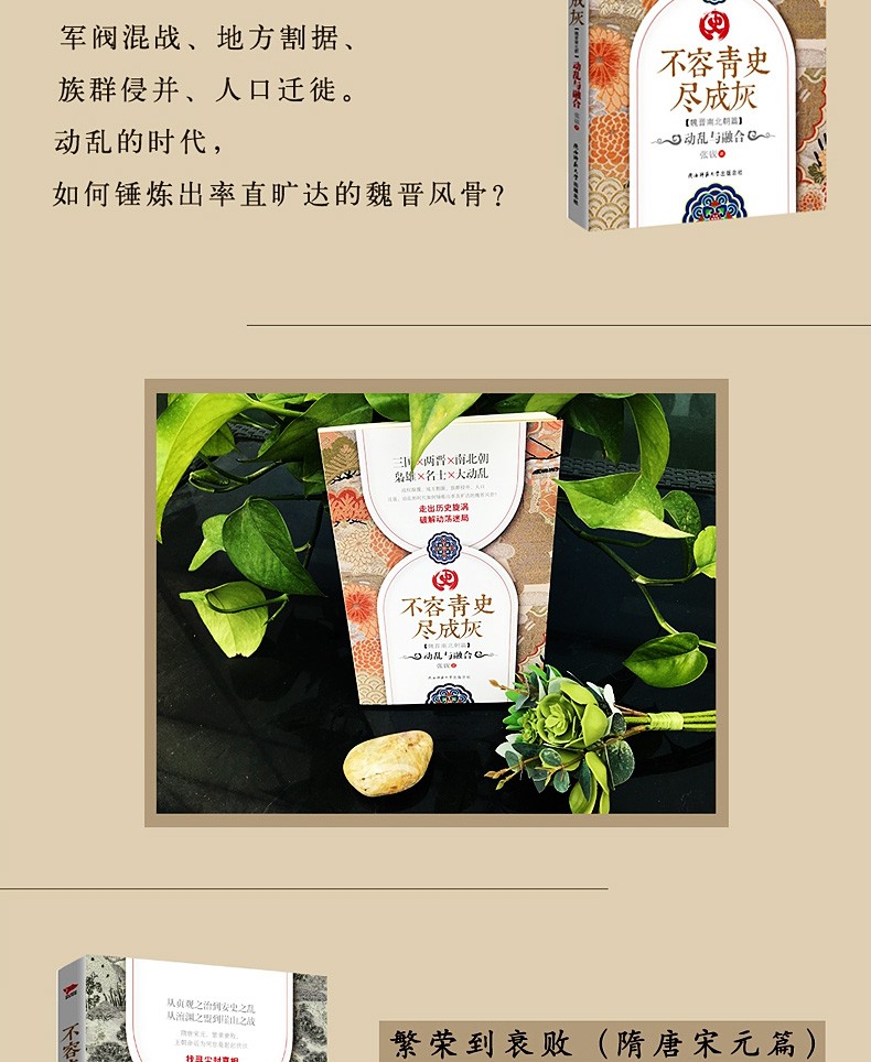 不容青史尽成灰【全5册】张嵚著 分裂到统一（春秋战国）+守土与开疆（两汉）+动乱与融合（魏晋南北朝）