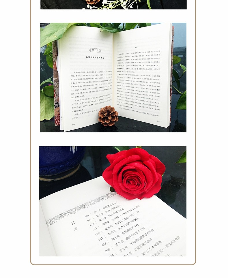 不容青史尽成灰【全5册】张嵚著 分裂到统一（春秋战国）+守土与开疆（两汉）+动乱与融合（魏晋南北朝）