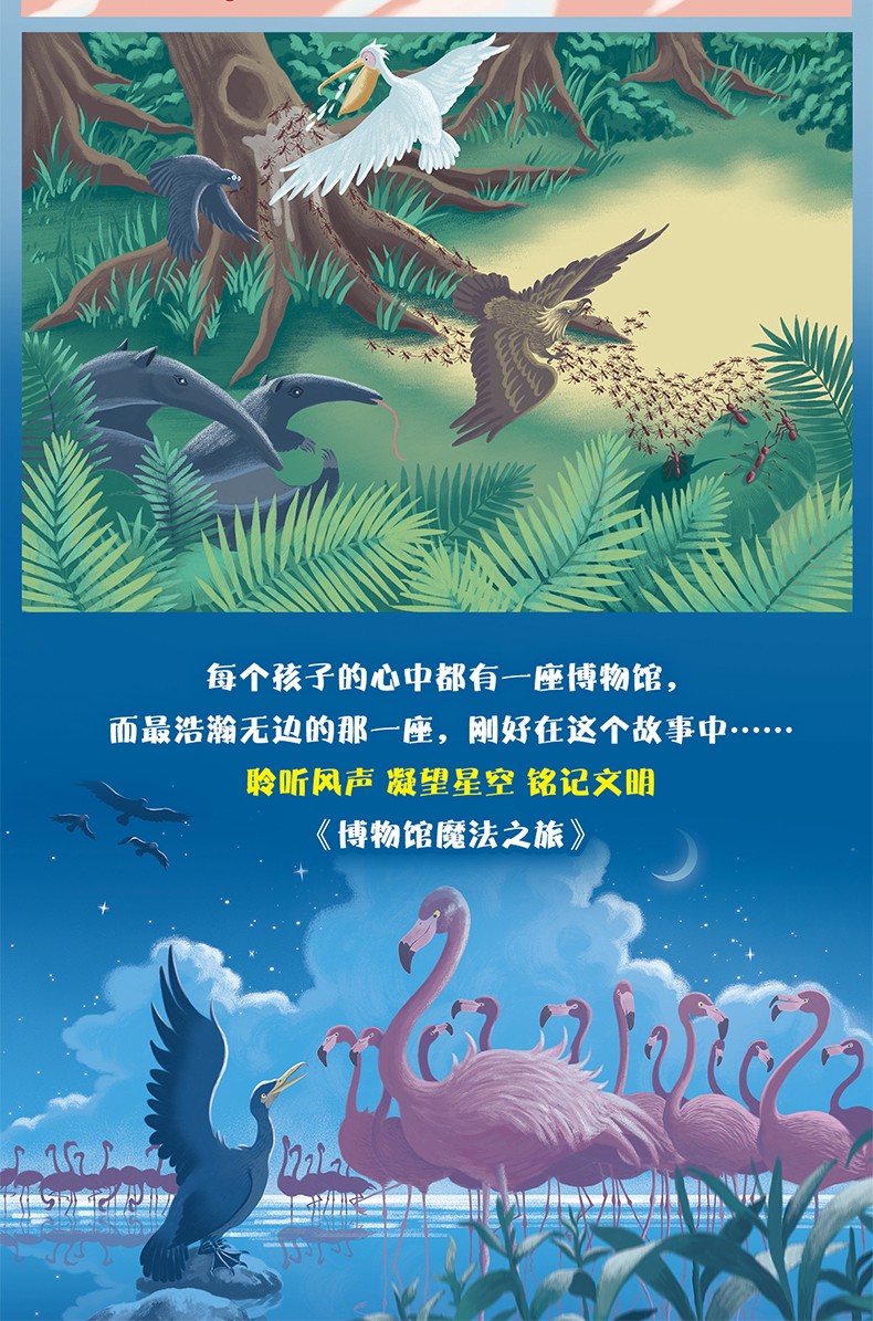 【正版现货】博物馆魔法之旅1旱地追击 阿卡 著 一段关于自然和梦想的博物冒险之旅 儿童文学8-12岁
