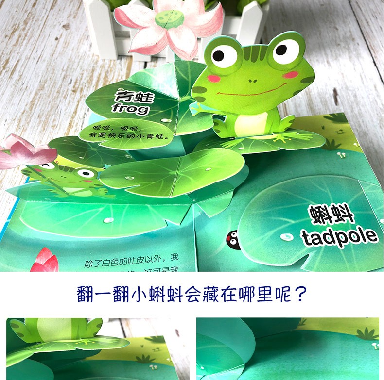 我躲在哪儿 动物认知互动立体场景书 幼儿学前宝宝早教立体书籍 中英文婴儿启蒙洞洞书认知绘本3