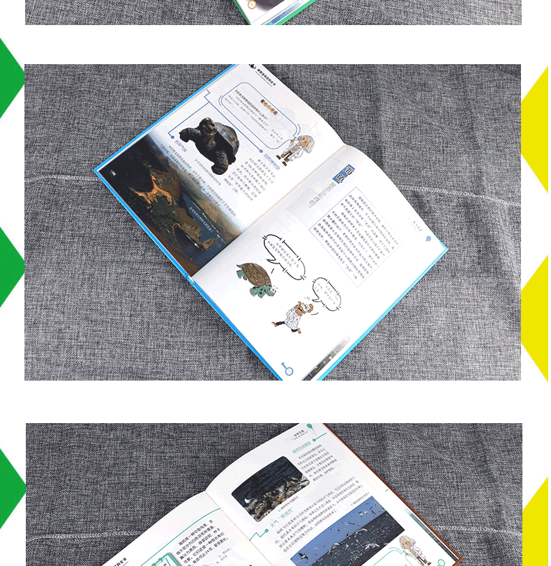 【全4册】 探索发现百科全书 动物王国+人体奥秘+海洋奇迹+地球探秘  120篇童话故事 彩图版