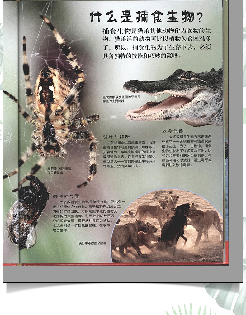 DK少儿科普【精装全四册】有趣的3D立体书：捕食生物大揭秘+冒险生活大揭秘+人体+恐龙身临其境的科学
