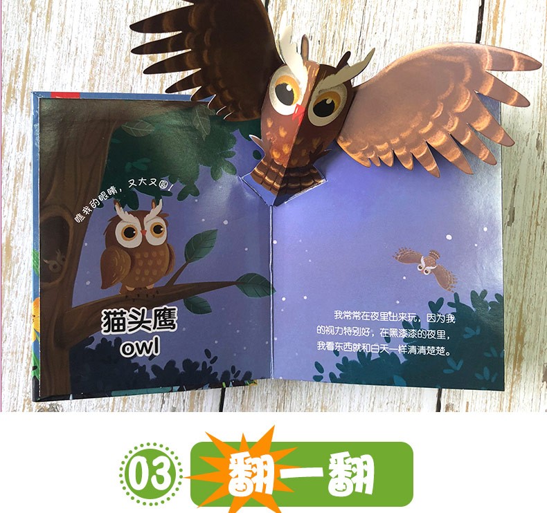 晚上出来玩 动物认知互动立体场景书 幼儿学前宝宝早教立体书籍 中英文 婴儿启蒙洞洞书认知绘本3