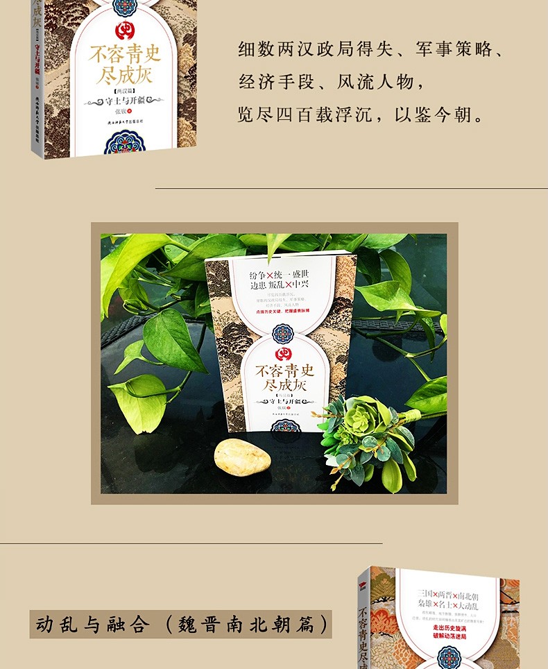 不容青史尽成灰【全5册】张嵚著 分裂到统一（春秋战国）+守土与开疆（两汉）+动乱与融合（魏晋南北朝）