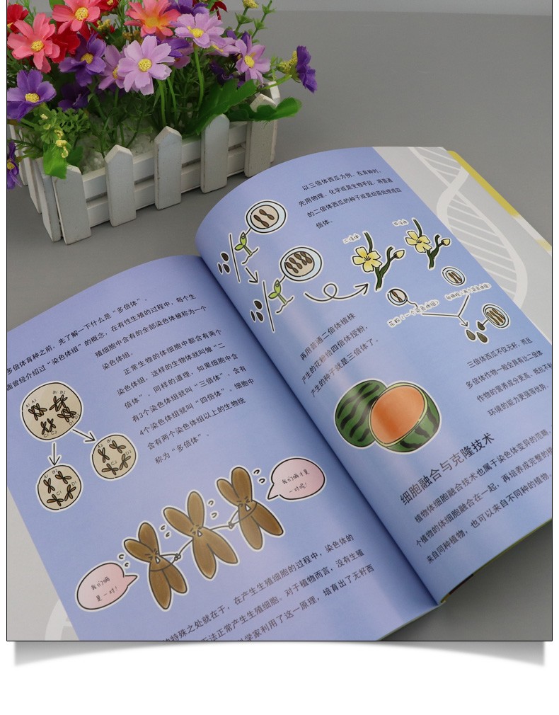 看漫画就能学系列【全三册】建筑小学堂+神秘的基因 +分子工厂 少儿化学科普绘本、生物启蒙图书