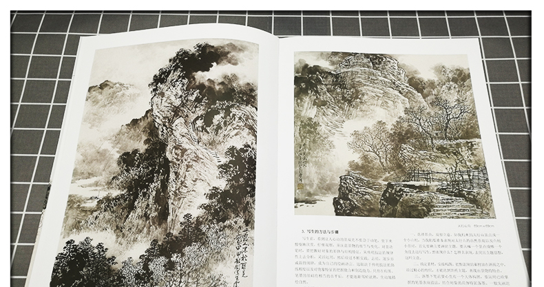 施云翔山水画教程全6册云水山石树木施云翔山水画范图水墨篇浅绛篇彩
