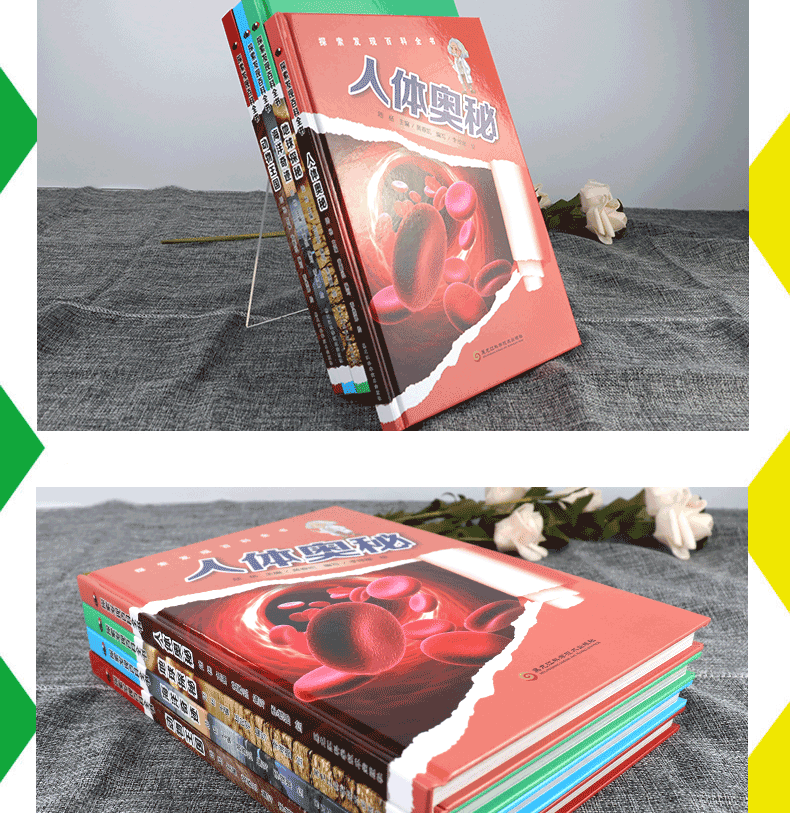 【全4册】 探索发现百科全书 动物王国+人体奥秘+海洋奇迹+地球探秘  120篇童话故事 彩图版
