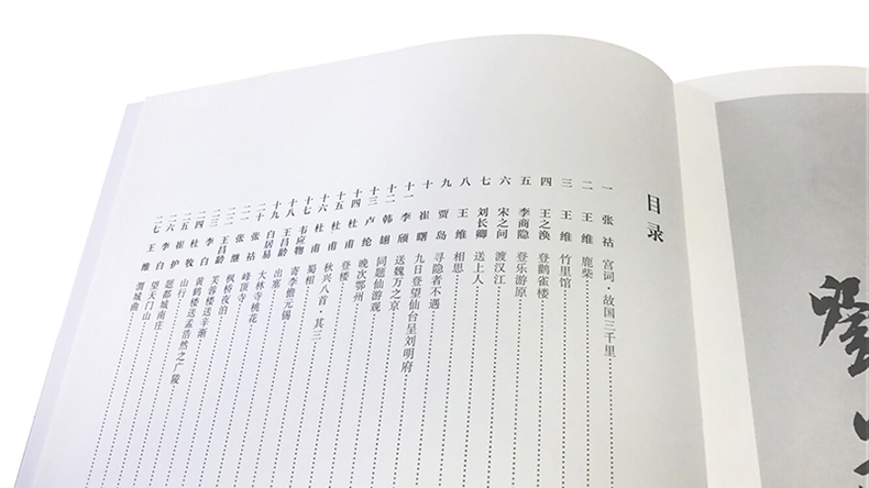【德国绘本】专注力训练情景认知绘本 字母数字 亲子互动游戏 幼儿找数字找物品 看图动脑做游戏