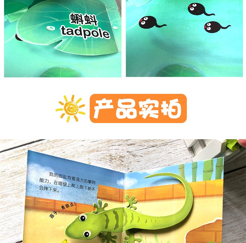 我躲在哪儿 动物认知互动立体场景书 幼儿学前宝宝早教立体书籍 中英文婴儿启蒙洞洞书认知绘本3