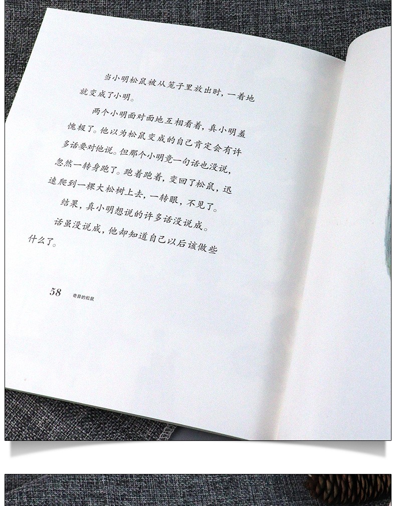 梁晓声童话系列 三册套装 白鸭阿呷+奇异的松鼠+小飞蛾漫游记 学校中小学课外读物 儿童文学