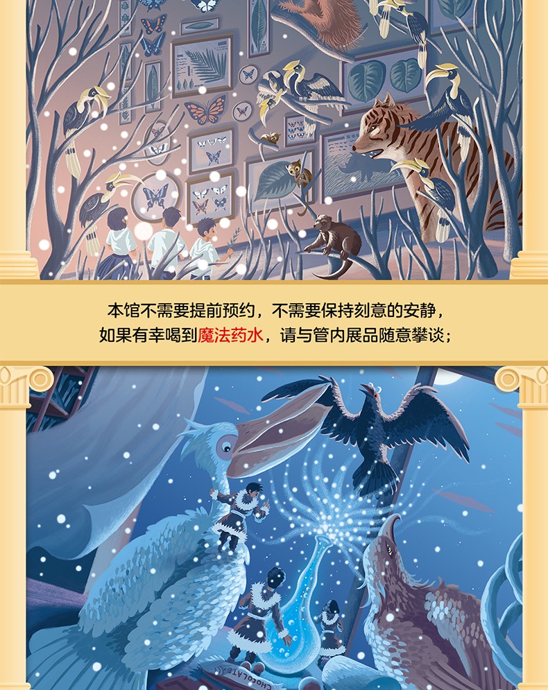 【正版现货】博物馆魔法之旅1旱地追击 阿卡 著 一段关于自然和梦想的博物冒险之旅 儿童文学8-12岁