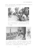 非文字书写的文化史：视觉人类学论稿