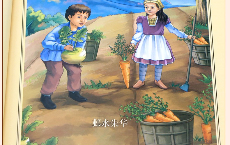 正版包邮 森林报·秋 内含知识考点名师点评小学生二三四五六年级中学生青少年版课外书 无障碍阅读书 森林报秋
