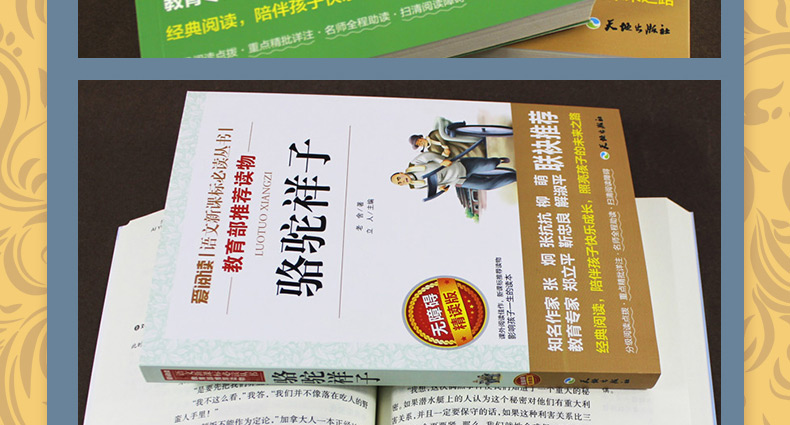 七年级下册必读包邮初中正版初一小说世界名著老舍骆驼祥子海底两万里 青少年中小学生无障碍语文课外阅读书籍 学校指定B