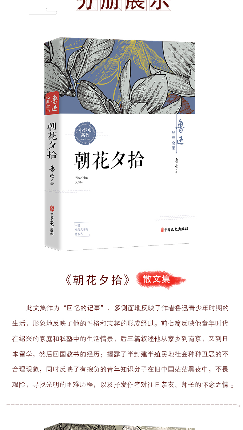 全套10册鲁迅全集朝花夕拾彷徨阿Q正传故事新编故乡狂人日记祝福呐喊孔乙己野草原著六七年级必读课外书小学读本初中生杂散文