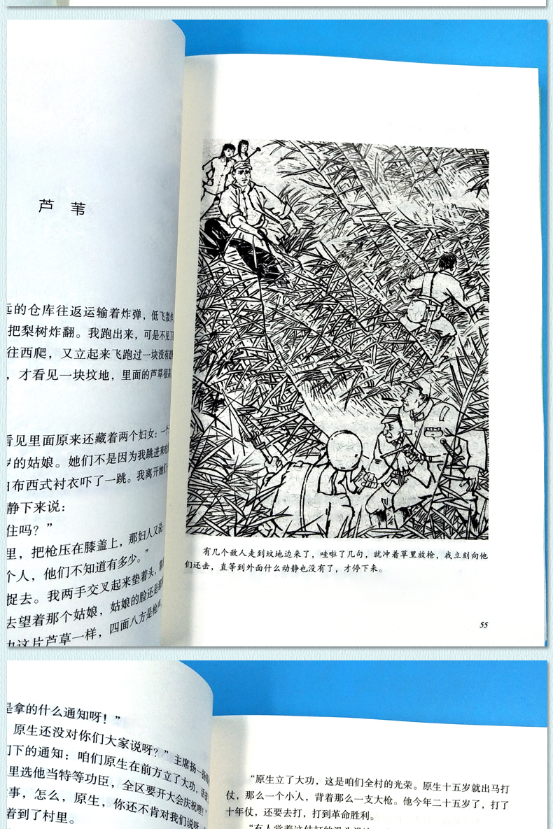 正版包邮 白洋淀纪事 孙犁正版无删减全册七年级部编版阅读书籍白洋淀纪事五六七八九年级初中生版课外必读书北师大出版社出版