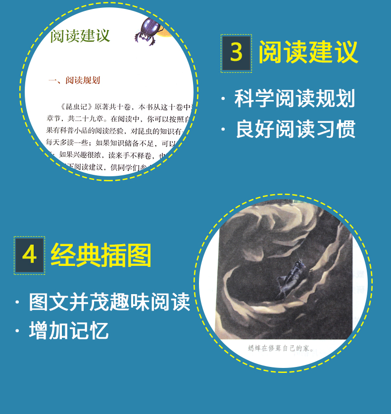 昆虫记正版包邮(人民教育出版社) 8年级上册/推荐书目/初中新编统编语文教材配套阅读/法布尔昆虫记完整版/学校指定人教版T