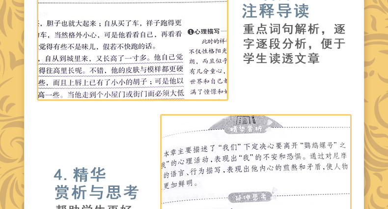 七年级下册必读包邮初中正版初一小说世界名著老舍骆驼祥子海底两万里 青少年中小学生无障碍语文课外阅读书籍 学校指定B