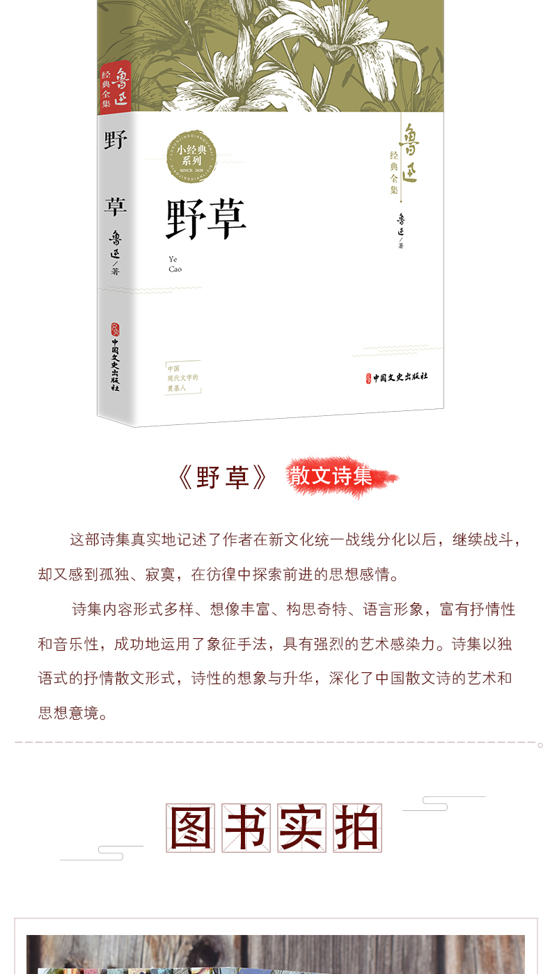 全套10册鲁迅全集朝花夕拾彷徨阿Q正传故事新编故乡狂人日记祝福呐喊孔乙己野草原著六七年级必读课外书小学读本初中生杂散文