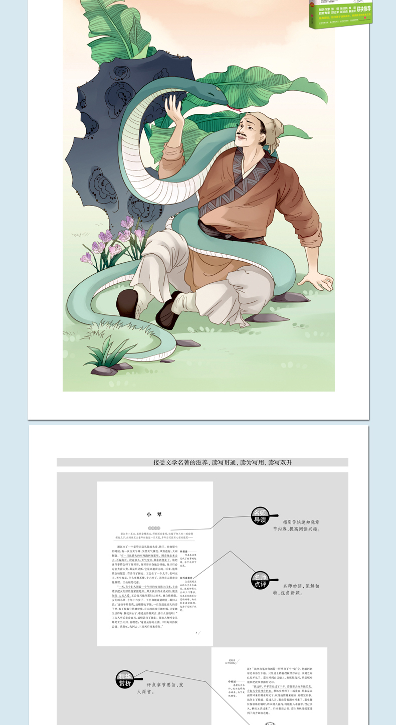 【老师指定】聊斋志异白话文/世说新语正版书 语文必读丛书初中小学生课外阅读书籍五六七八年级人教版世界经典名著原版全集