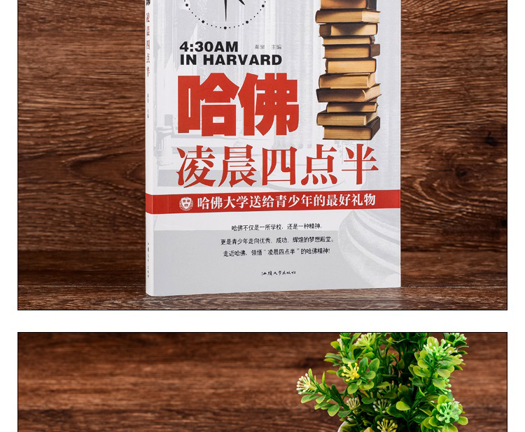 全4册 正版哈佛凌晨四点半你在为谁读书没伞的孩子必须努力奔跑别在吃苦的年纪选择安逸青春文学励志书籍