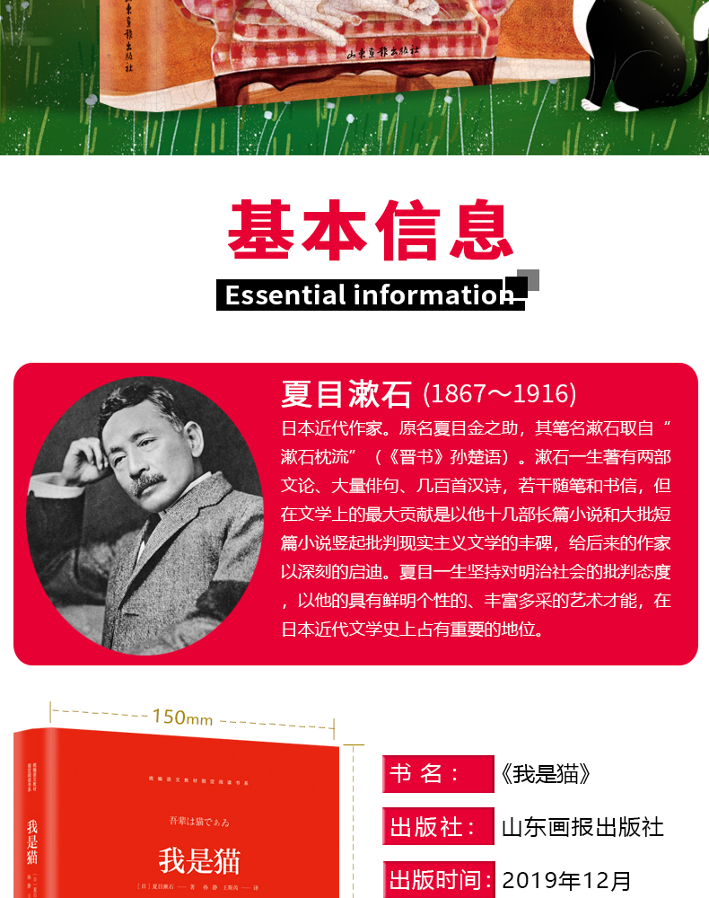 我是猫