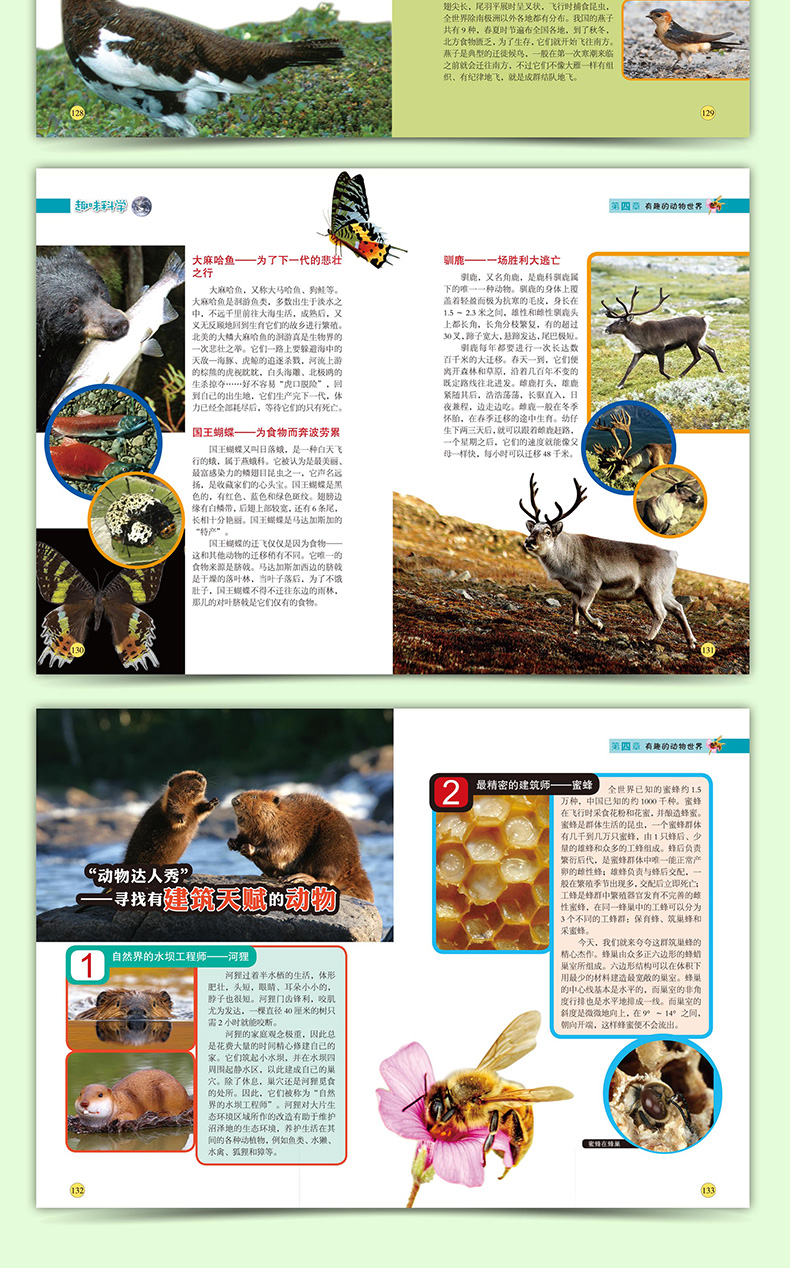 趣味科学 小学生科学知识课外书 科普青少年三四五六年级阅读物书籍