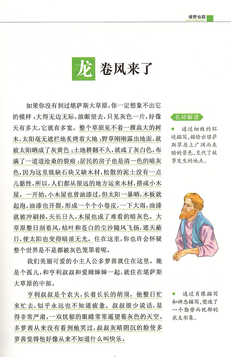 【4本39元专区】绿野仙踪 新课标版 青少彩绘版 小学生三年级课外阅读书籍 孩子的修养与素质养成书