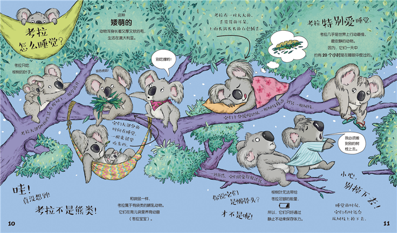 可选正版动物吃饭有讲究动物睡觉有讲究共内含大幅插图少儿科普绘本