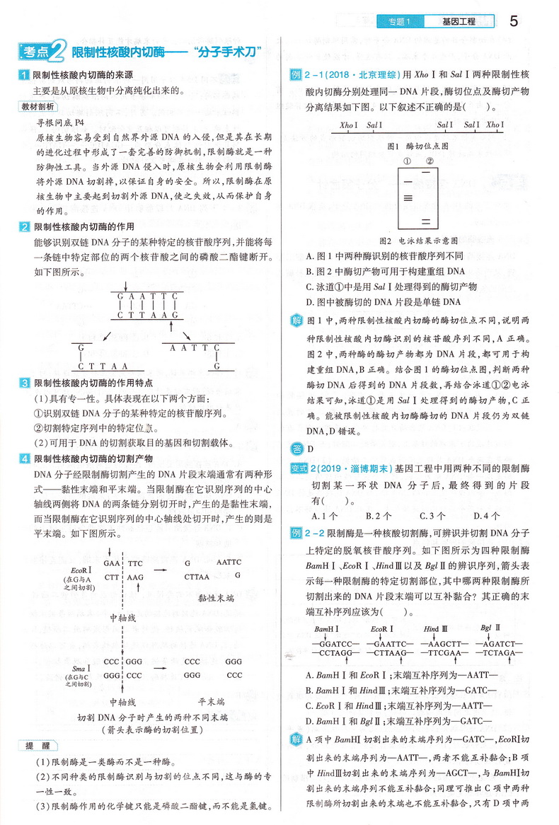 【官方授权】2021新版王后雄学案教材完全解读高中生物选修三现代生物科技专题通用人教版 高二生物选修3课本同步讲解练习复习资料