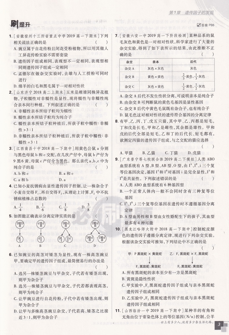 2020版理想树高中必刷题生物必修二人教版同步课时高一上必修2RJ作业本高考课堂教材完全解读习题练习册重点难点基础知识手册