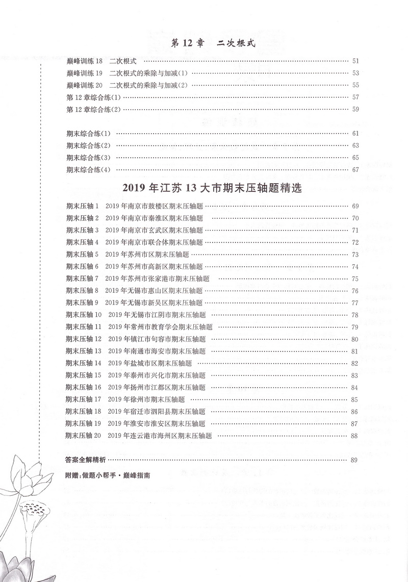2020春恩波教育初中数学小题狂做巅峰版八年级下册苏科版初二8年级下学期SK版初中苏教版教材同步复习练习教辅资料附答案全解精析