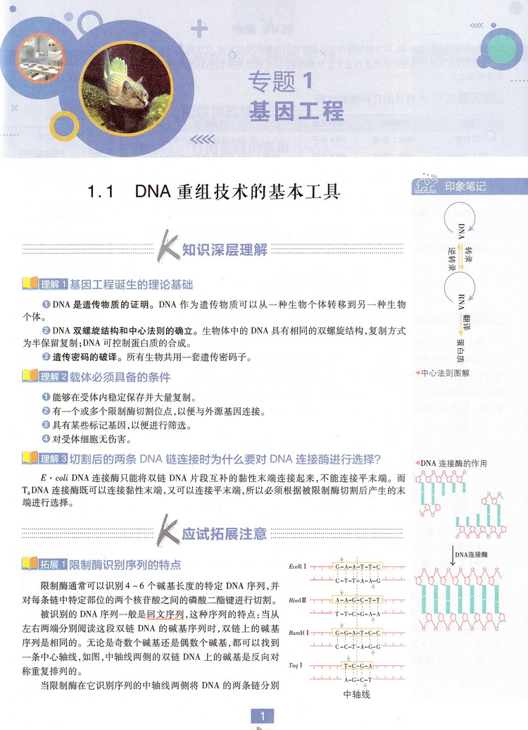 2020版理想树高中必刷题生物选修三人教版同步课时高二选修3RJ作业本高考课堂教材完全解读习题练习册重点难点基础知识手册