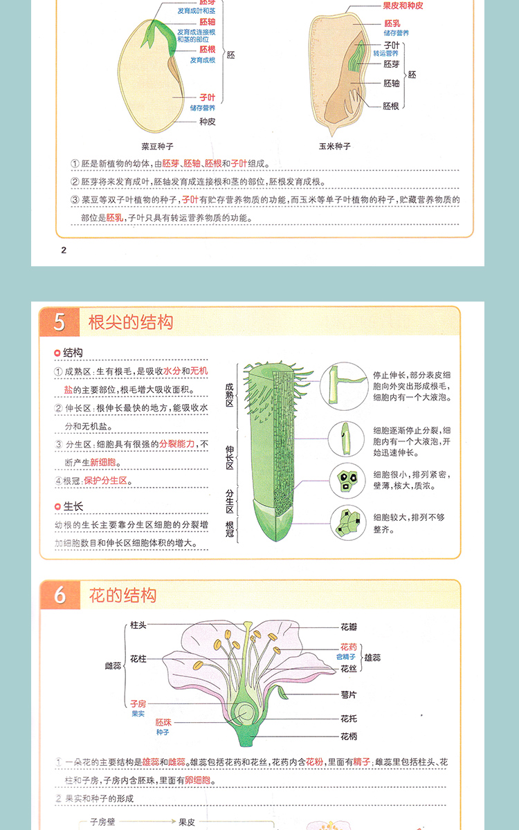 2021PASS绿卡学霸笔记初中生物地理共2册 初一至初三漫画图解全彩版初一初二初三通用教材课本同步重点归纳教材全解知识清单大全