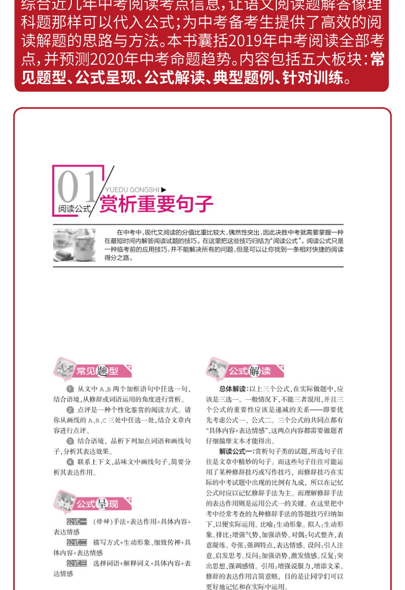备考2020中考现代文阅读答题必备公式中考作文热点素材速用初中初三七八九年级2019中考总复习语文阅读理解专项训练辅导议论文教辅