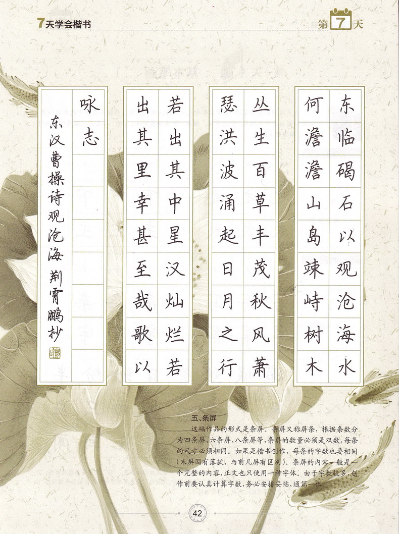 墨点字帖7天学会楷书 荆霄鹏编写小学初中高中通用硬笔钢笔书法中性笔练习临摹行楷字帖含临摹纸小学中学生成人初学练习速成字帖