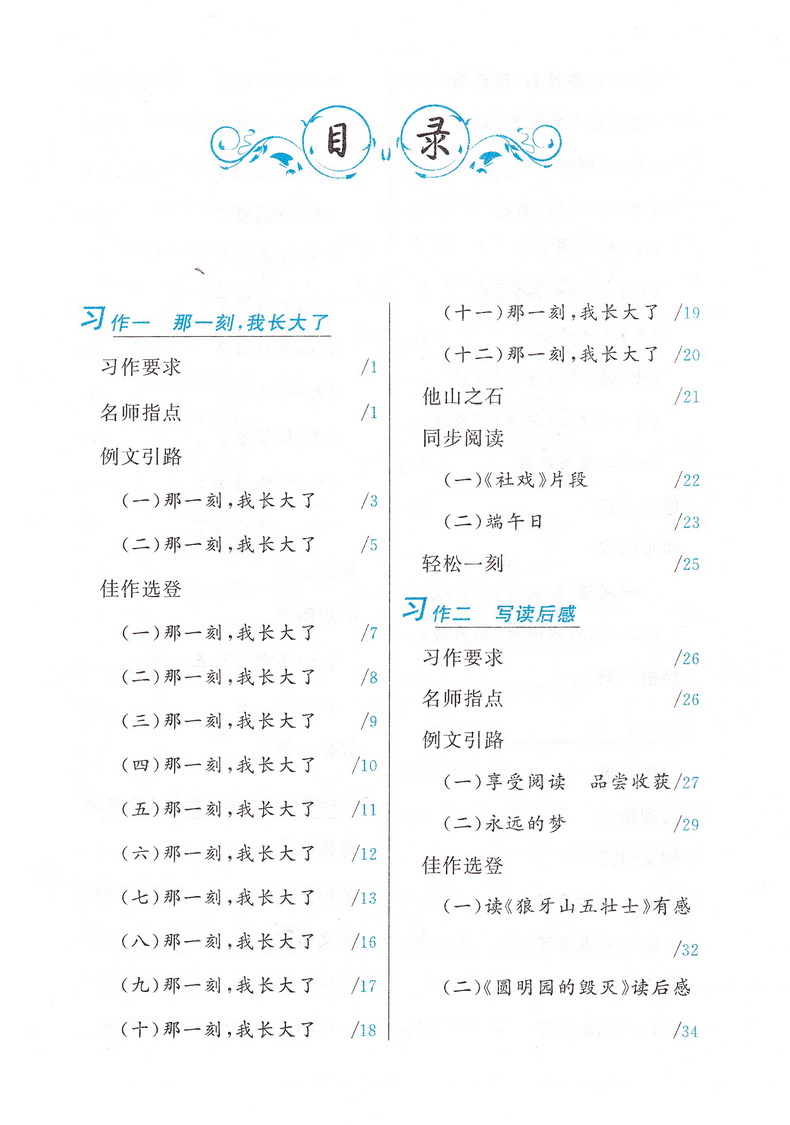 2020春同步作文新讲练 五年级下册人民教育教材适用 小学5年级下学期人教版RJ部编版教材同步作文写作思路技巧指导素材 可一