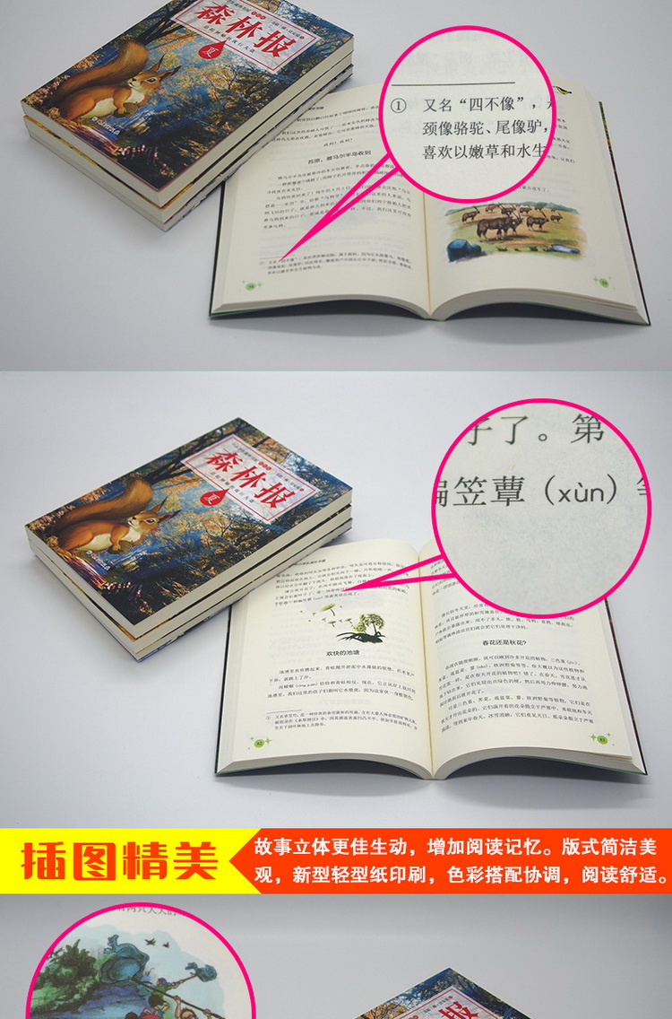 送考点】森林报春夏秋冬全四册全集彩绘本 小学生三四五六年级必读课外书7-10-15岁2019老师推荐阅读书籍8-12周岁儿童文学故事读物