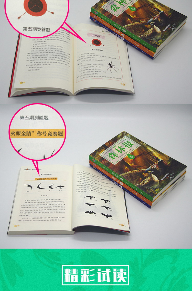 送考点】森林报春夏秋冬全四册全集彩绘本 小学生三四五六年级必读课外书7-10-15岁2019老师推荐阅读书籍8-12周岁儿童文学故事读物