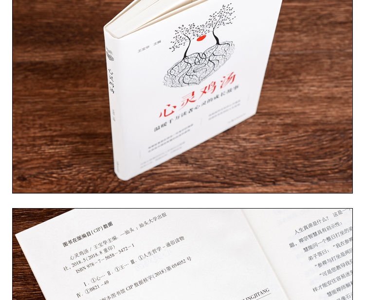正版 心灵鸡汤 心灵与修养成功经典青春励志文学书籍 心灵鸡汤