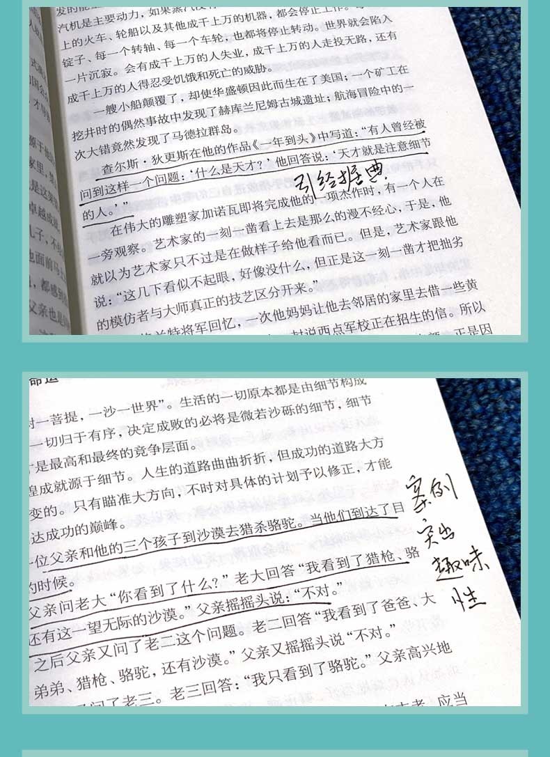 细节决定成败 领导力企业管理书 创业谋略经商 心灵鸡汤成功励志 逻辑说服力人生哲学为人处事人生智慧