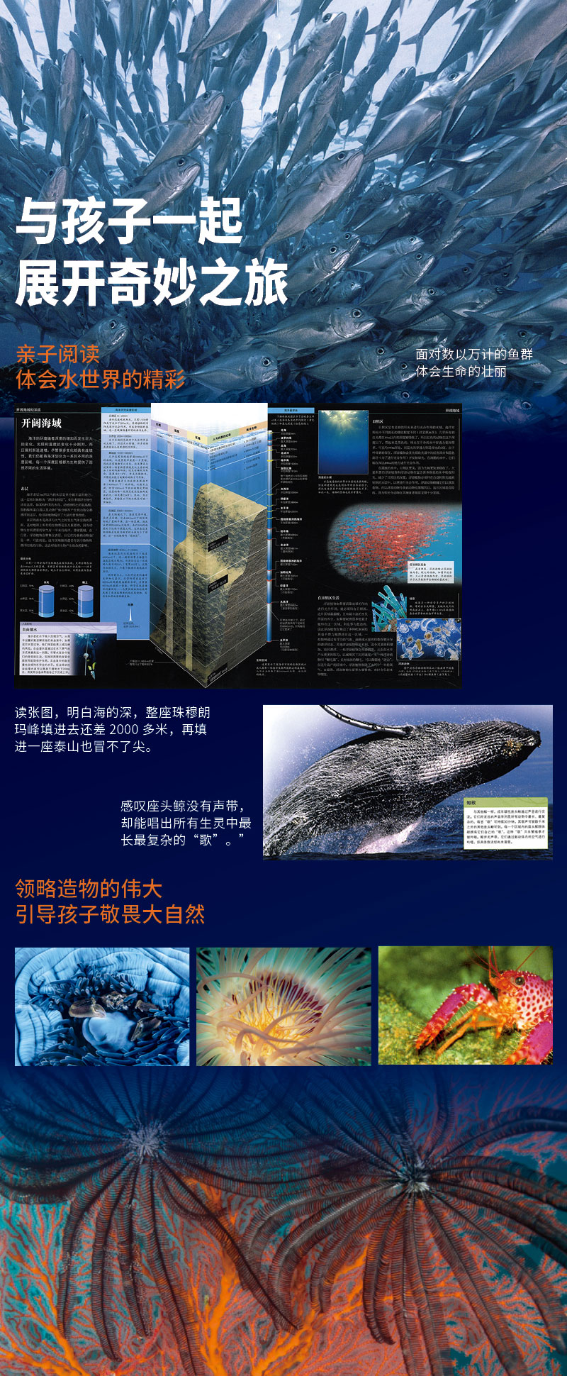现货  DK海洋大百科 中文版 南方日报出版社正版  dk海洋博物大百科全书 dk儿童海洋百科