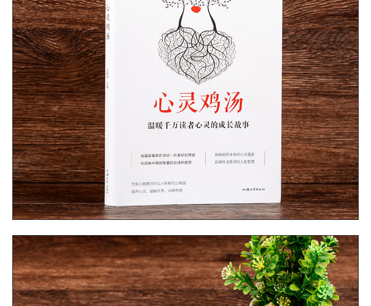 正版 心灵鸡汤 心灵与修养成功经典青春励志文学书籍 心灵鸡汤