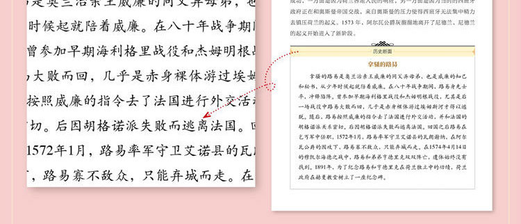 【插图版】看得见的世界史 荷兰历史 世界历史海上马车夫 荷兰书籍 文化故事书 通俗读物 世界通史历史欧洲史 历史知识读物 畅销书
